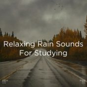 !!!" Relaxing Rain Sounds For Studying  "!!!