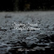 Soothing Sounds - Rainfall Afternoon
