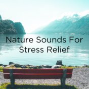 !!!" Nature Sounds For Stress Relief  "!!!