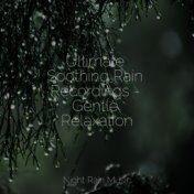 Ultimate Soothing Rain Recordings - Gentle Relaxation