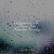 Unforgettable & All Natural Rain Relaxation Recordings