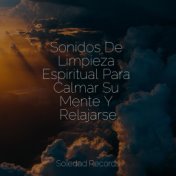 Sonidos De Limpieza Espiritual Para Calmar Su Mente Y Relajarse