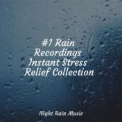#1 Rain Recordings Instant Stress Relief Collection