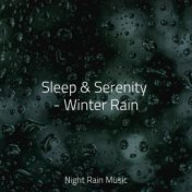 Sleep & Serenity - Winter Rain