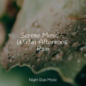 Serene Music - Winter Afternoon Rain
