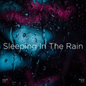 !!!" Sleeping In The Rain "!!!