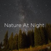 !!!" Nature At Night  "!!!