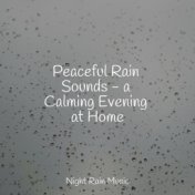 Peaceful Rain Sounds - a Calming Evening at Home