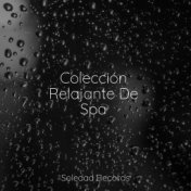 Colección Relajante De Spa