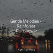 Gentle Melodies - Rainforest Rainshower