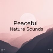 !!!" Peaceful Nature Sounds "!!!