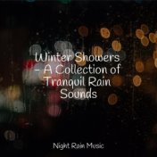 Winter Showers - A Collection of Tranquil Rain Sounds