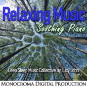 Relaxing Music: Soothing Piano Vol.3