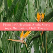 Piano for Relaxation, Study, Sleep, Yoga, Meditation, Chill, Therapy