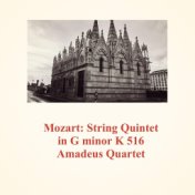 Mozart: String Quintet in G Minor K 516