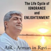 The Life Cycle of Ignorance and Enlightenment