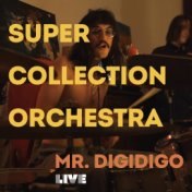 Mr. Digidigo (Live)