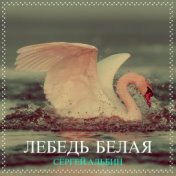 Лебедь белая