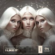 I Like it (Remixes)