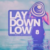 Lay Down Low, Vol. 8