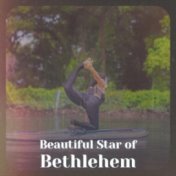 Beautiful Star of Bethlehem