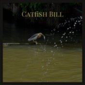 Catfish Bill