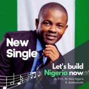 Let's build Nigeria now