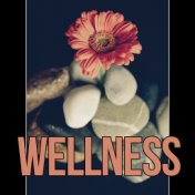 Wellness - Massage & Spa Music, Serenity Relaxing Spa Music, Instrumental Music for Massage Therapy, Piano Music and Sounds of N...