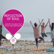 Reflection Of Soul - Nature Sounds For Yoga And Meditation