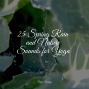 25 Spring Rain and Nature Sounds for Yoga