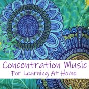 Concentration Music For Learning At Home