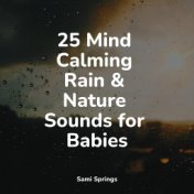 25 Mind Calming Rain & Nature Sounds for Babies