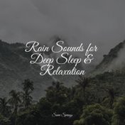 Rain Sounds for Deep Sleep & Relaxation