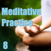 Meditative Practice, Vol. 8