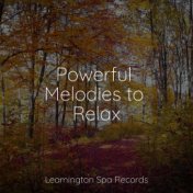 Powerful Melodies to Relax