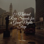 25 Natural Rain Sounds for a Great Nights Sleep