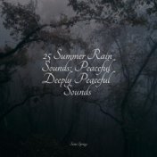 25 Summer Rain Sounds: Peaceful Deeply Peaceful Sounds