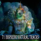 71 Inspiring Natural Tracks