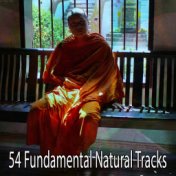 54 Fundamental Natural Tracks