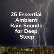 25 Essential Ambient Rain Sounds for Deep Sleep