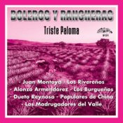 Triste Paloma (Boleros Y Rancheras)