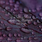 25 Ambient Rain Loops for Meditation and Sleep