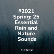 #2021 Spring: 25 Essential Rain and Nature Sounds