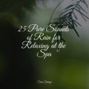 25 Pure Sounds of Rain for Relaxing at the Spa