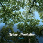 #2018 Asian Meditation Tracks for Spirital Awakening