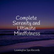 Complete Serenity and Ultimate Mindfulness