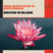 From Restfulness To Restlessness - Meditation For Wellbeing