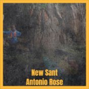 New Sant Antonio Rose