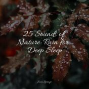25 Sounds of Nature: Rain for Deep Sleep