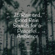 25 Rain and Good Rain Sounds for a Peaceful Ambience